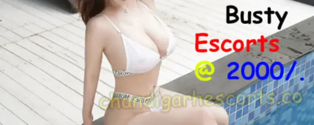 Chandigarh Escort Service